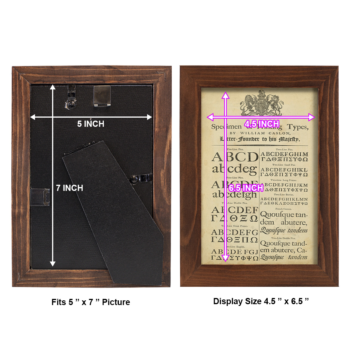 Encyclopediae VI -Framed Print w/glass-Chestnut
