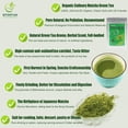 thumbnail image 3 of Organic Matcha Green Tea Powder Culinary Grade (3.53OZ), Suit for Cooking, Baking, Candy by EFOOFAN, 3 of 10