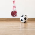 thumbnail image 4 of WRITWAA Sac de Volleyball Sac de Rangement en Maille Design Portable 1Ensemble, 4 of 8