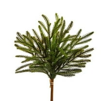18" Balsam Fir Bundle