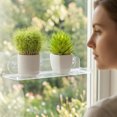 KGJQ Window Plant Shelf with Suction Cup And Protective Edge, Clear ...