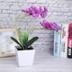 thumbnail image 3 of 9LED Artificial Flower Pot Lamp Simulation Phalaenopsis Bonsai Flower Light DIY Home Decoration, 3 of 5