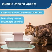 PetSafe Drinkwell Ceramic Pagoda Fountain - Taupe