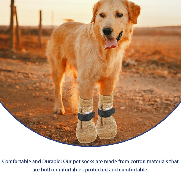Best pet socks online