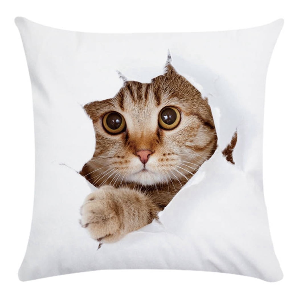 cat in pillow