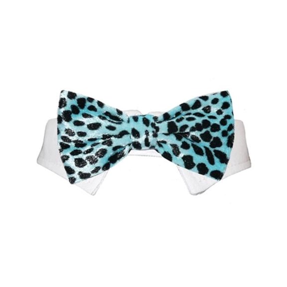 Pooch Outfitters Roberto Bow Tie - Aqua - 3XS