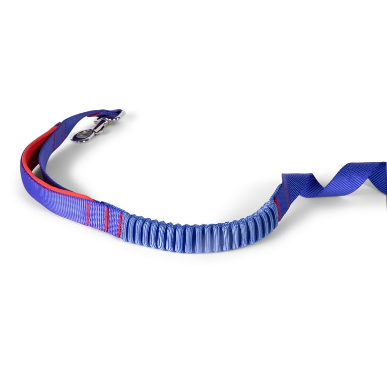 The Dodo Bungee Dog Leash, 48 inch, Strain-Relieving with