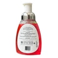thumbnail image 2 of Jabón Facial Mousse de rose Fitomex 250 mL, 2 of 2