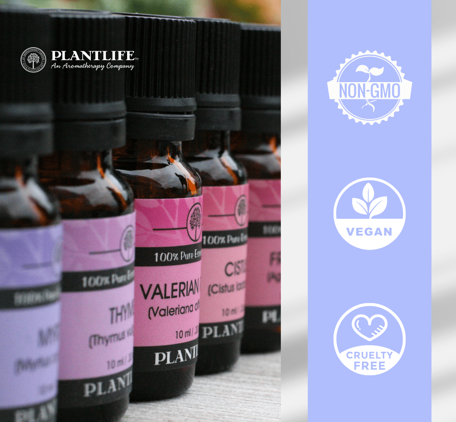 Plantlife Eucalyptus Essential Oil – 100% Pure Oil for Aromatherapy, Diffuser, Sinus Relief & Respiratory Support – 30 ml