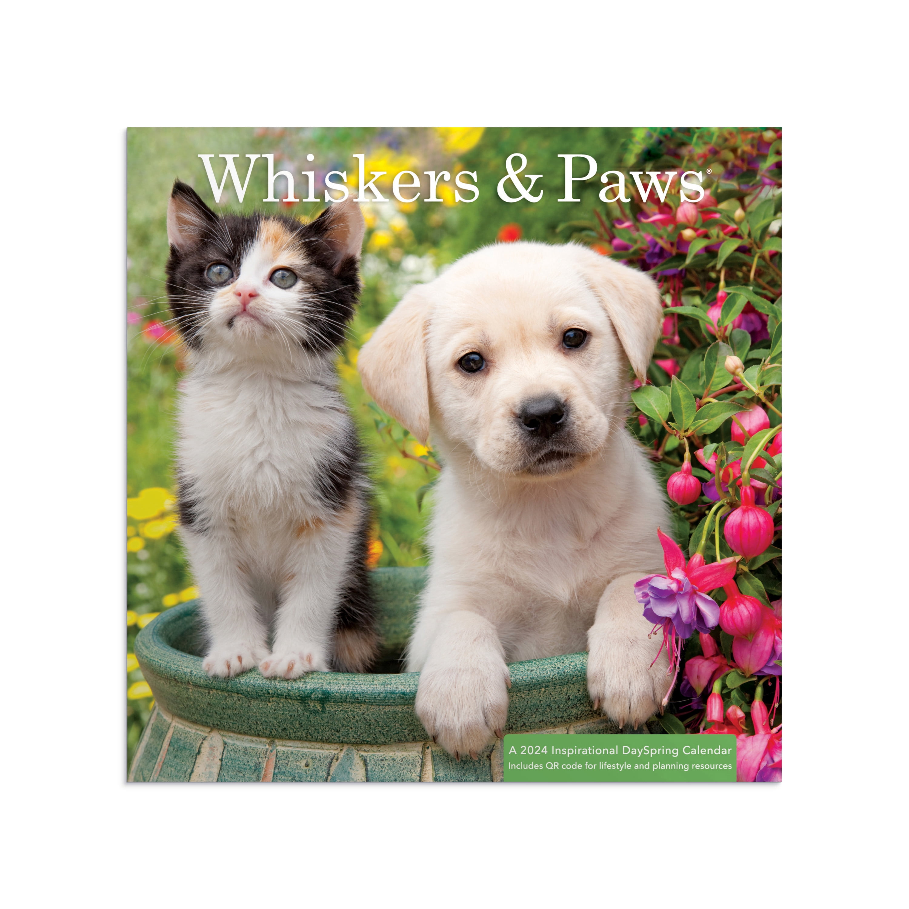 DaySpring Whisker Paws 2024 Wall Calendar A 2024 Inspirational DaySpring Calendar Puppy DaySpring Whisker Paws 2024 Wall Calendar A 2024 Inspirational DaySpring Calendar Puppy