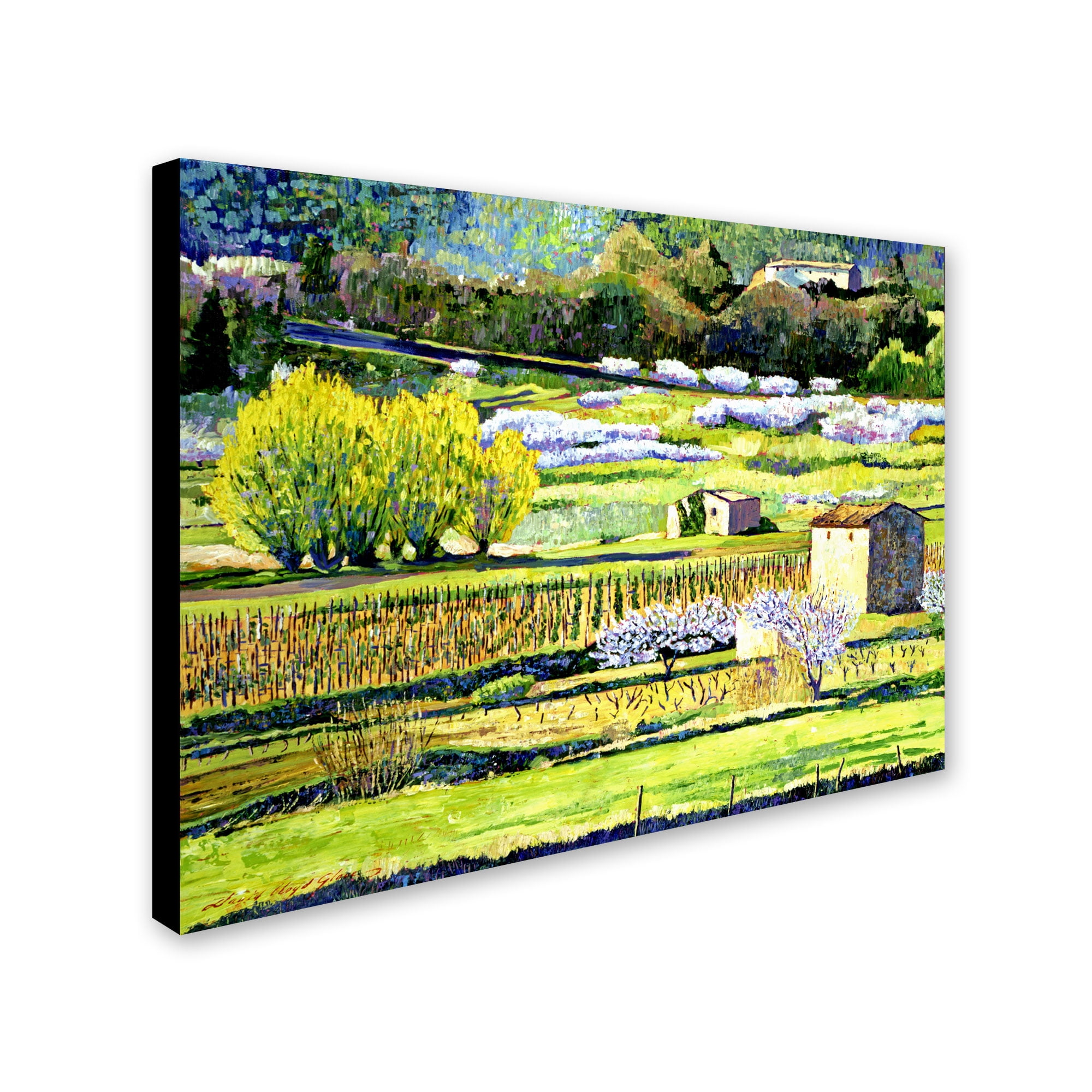Trademark Art "Bordeaux Vineyards in Spring" Canvas Wall Art by David Lloyd Glover