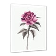 thumbnail image 2 of Designart 'Ancient Pink Rose Flower' Traditional Framed Art Print, 2 of 4