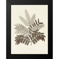 thumbnail image 2 of Vision Studio 12x14 Black Modern Framed Museum Art Print Titled - Sepia Botanicals VIII, 2 of 5