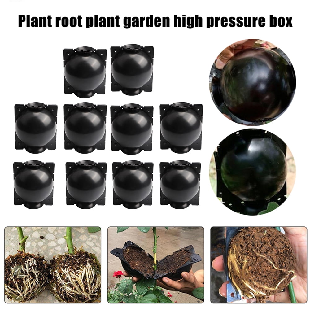 Plant Rooting Device Reusable Plant Root Growing Box Propagators for Plants High Pressure Propagation Ball Box for Garden Grafting Rooting Growing Breeding White L 5pcs