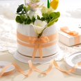 thumbnail image 5 of QZS Gingham Ribbon,1Pack Portable Spring Plaid Ribbon for Crafts,Orange and White Ornaments Gift Wrapping for Wreath Decoration,147.6Ft, 5 of 6