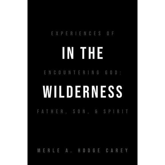 In the Wilderness: Experiences of Encountering God: Father, Son, and Spirit (Paperback)