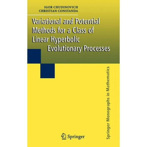 Springer Monographs in Mathematics Variational and Potential Methods for a Class of Linear Hyperbolic Evolutionary Processes, (Hardcover)