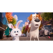 The Secret Life of Pets (4K Ultra HD, Blu-ray)