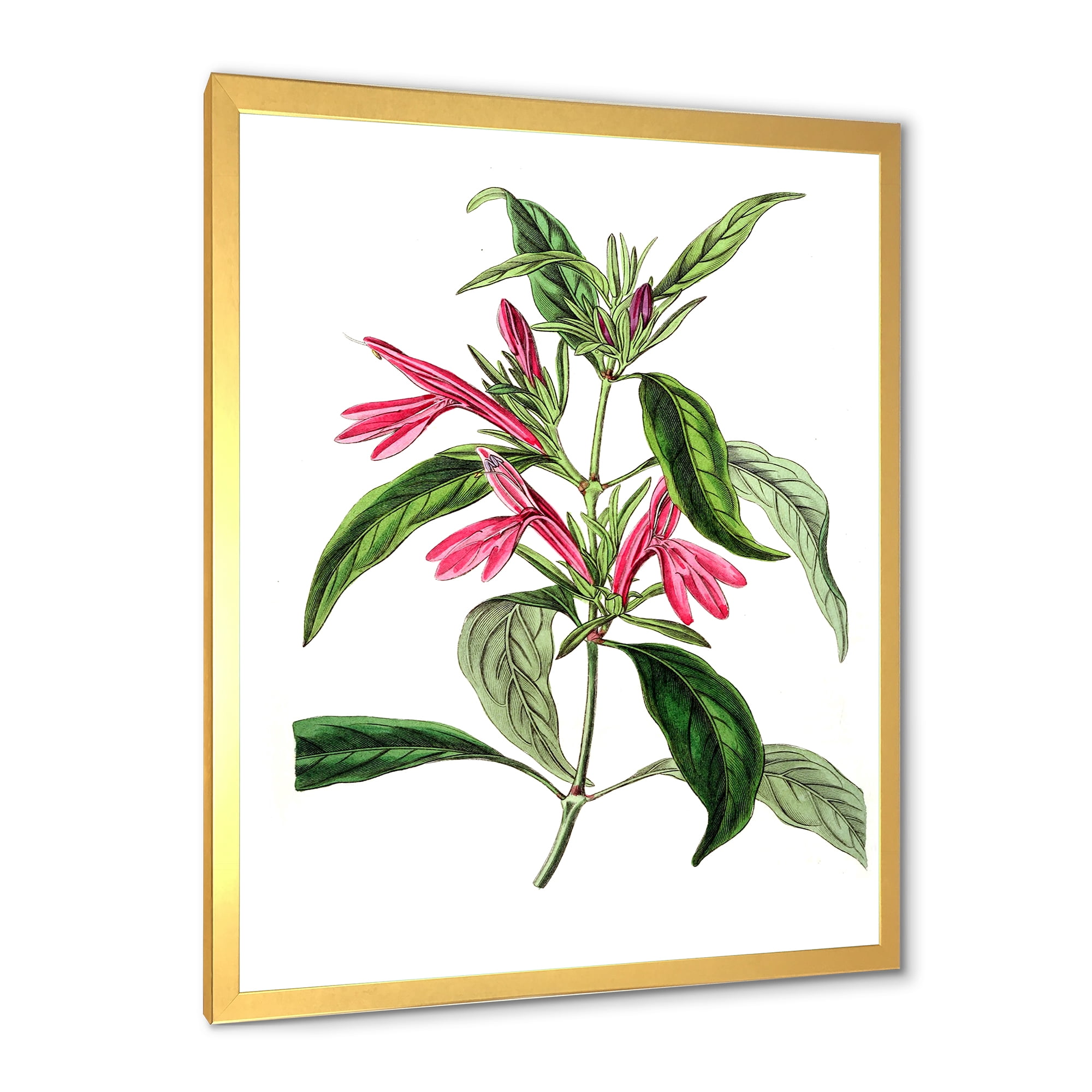 Designart 'Ancient American Flora VII' Traditional Framed Art Print