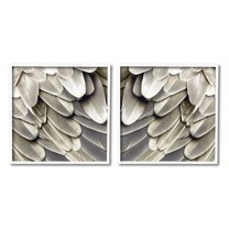 Stupell Industries Feathered Bird Wings Lovely Close Up Photography, 24 x 24, Design by Julia Bosco