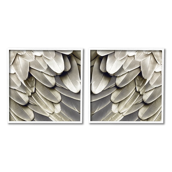 Stupell Industries Feathered Bird Wings Lovely Close Up Photography, 24 x 24, Design by Julia Bosco