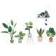 thumbnail image 1 of 1 Juego de pegatina de pared de bonsái, pegatina de pared de planta en maceta, decoración creativa de pared, pegatina de pared de plantas en maceta HOMEMAXS MX16170790, 1 of 5