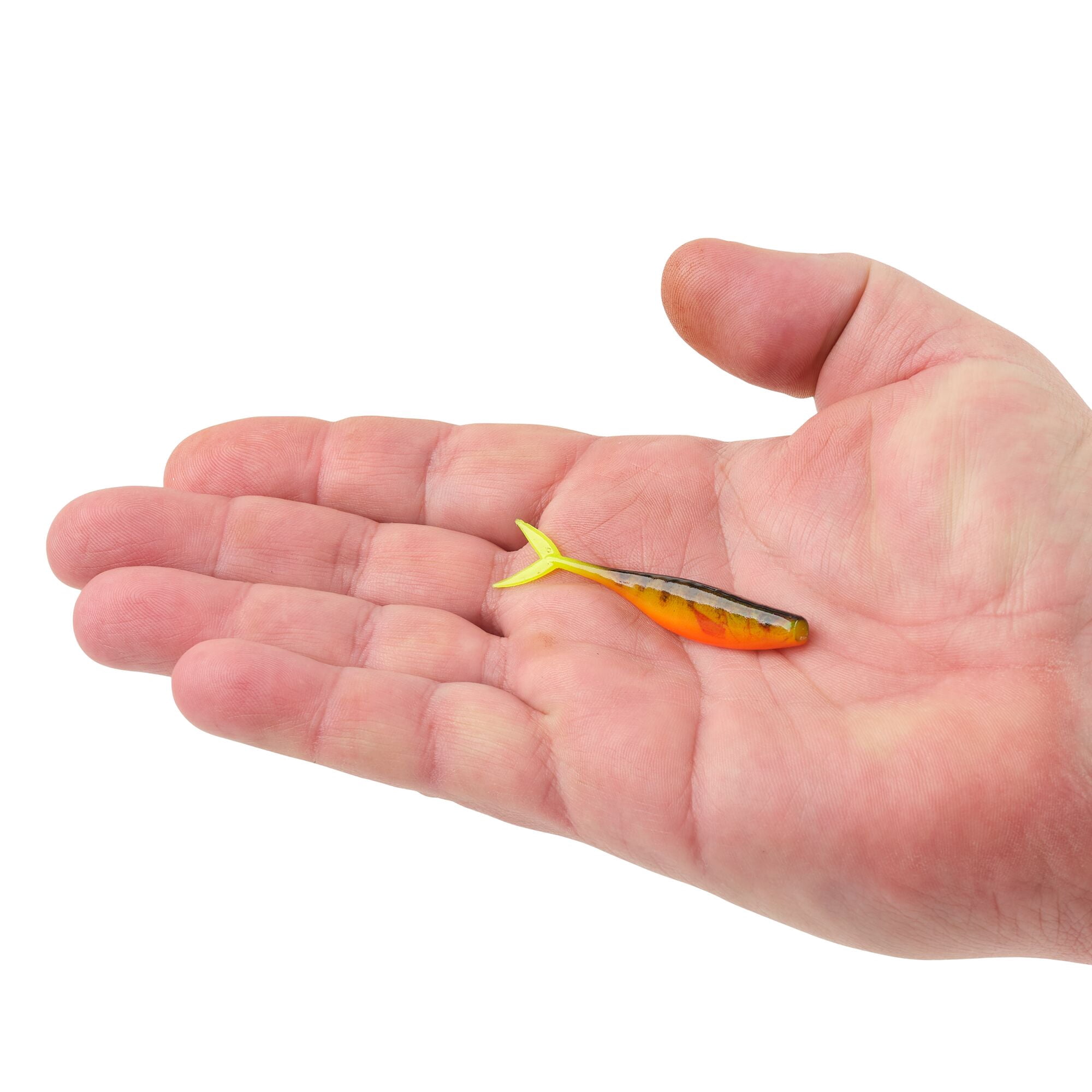 Berkley PowerBait® The Champ Minnow, 2.5 in, Minnows, HD Fire Perch (10 Count)