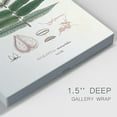 thumbnail image 3 of Botanical Society Ferns XII Premium Gallery Wrapped Canvas - Ready to Hang, 3 of 9