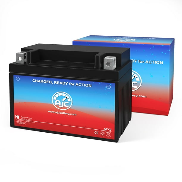 Yuasa YTX9-BS 12V Powersports Replacement Battery 