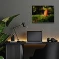 thumbnail image 6 of Epic Art 'Leaf and Ant' by Philippe Sainte-Laudy, Acrylic Glass Wall Art, 16"x12", 6 of 8