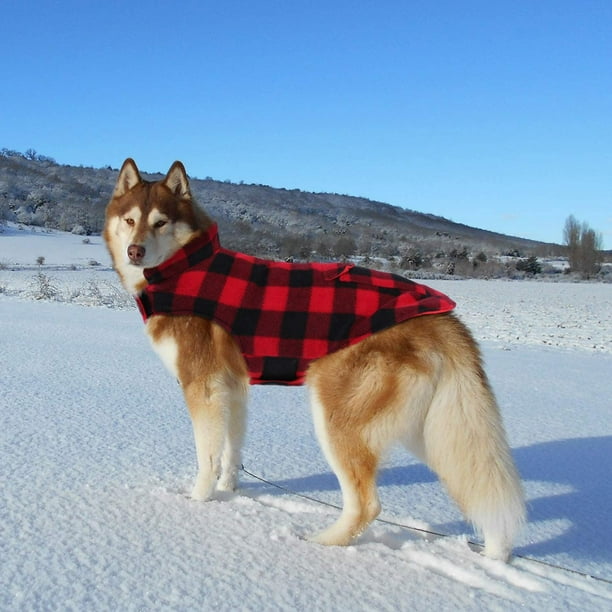 Buffalo check store dog jacket