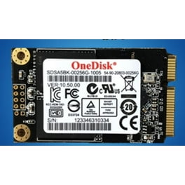 X097【美品】13.3FHD/i5/16GB/SSD256GB/BD-RE 1 M2 Sata X250 256GB Solid State Drive - Walmart.com
