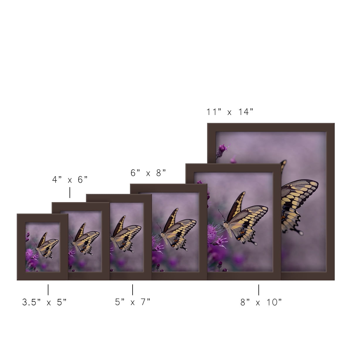 Modern 5 in. x 7 in. Brown Picture Frame (Set of 4)