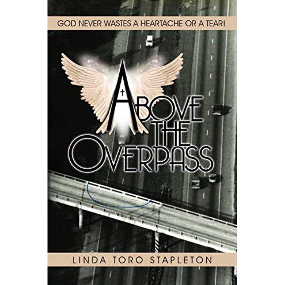 Pre-Owned Above the Overpass (Paperback) 1958032018 9781958032015