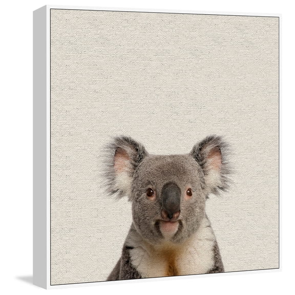 Playful Koala' Floater Framed Painting Print on Canvas - Multi-color