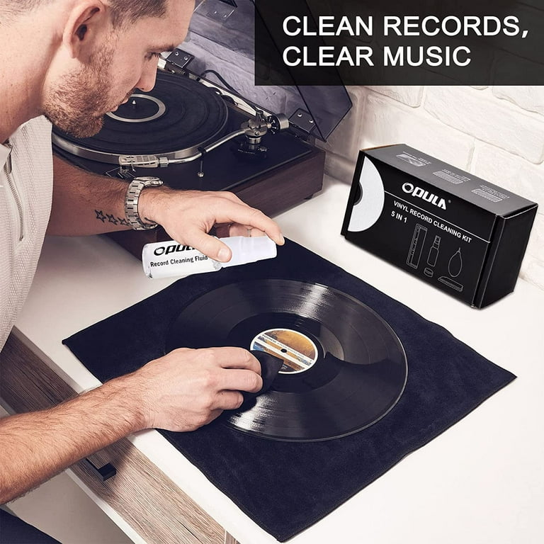 Big Fudge Vinyl Record Cleaning Kit 4in1 Record