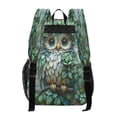 thumbnail image 3 of ALAZA Clear Backpack Owl Bohemia Green PVC Transparent BookBag, 3 of 7
