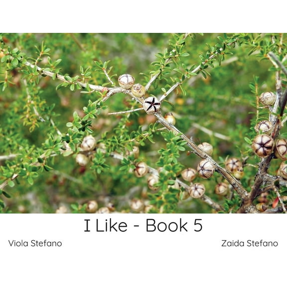 I Like I Like - Book 5, Book 1, (Paperback)