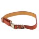 thumbnail image 2 of Collar para Perros de Cuero Collar para Mascotas de Cuero Acolchado Suave con Hebilla Grabada para Perros y Gatos pequeños, medianos y Grandes, Naranja 31‑50 cm/12,2‑20 Pulgadas, 2 of 12