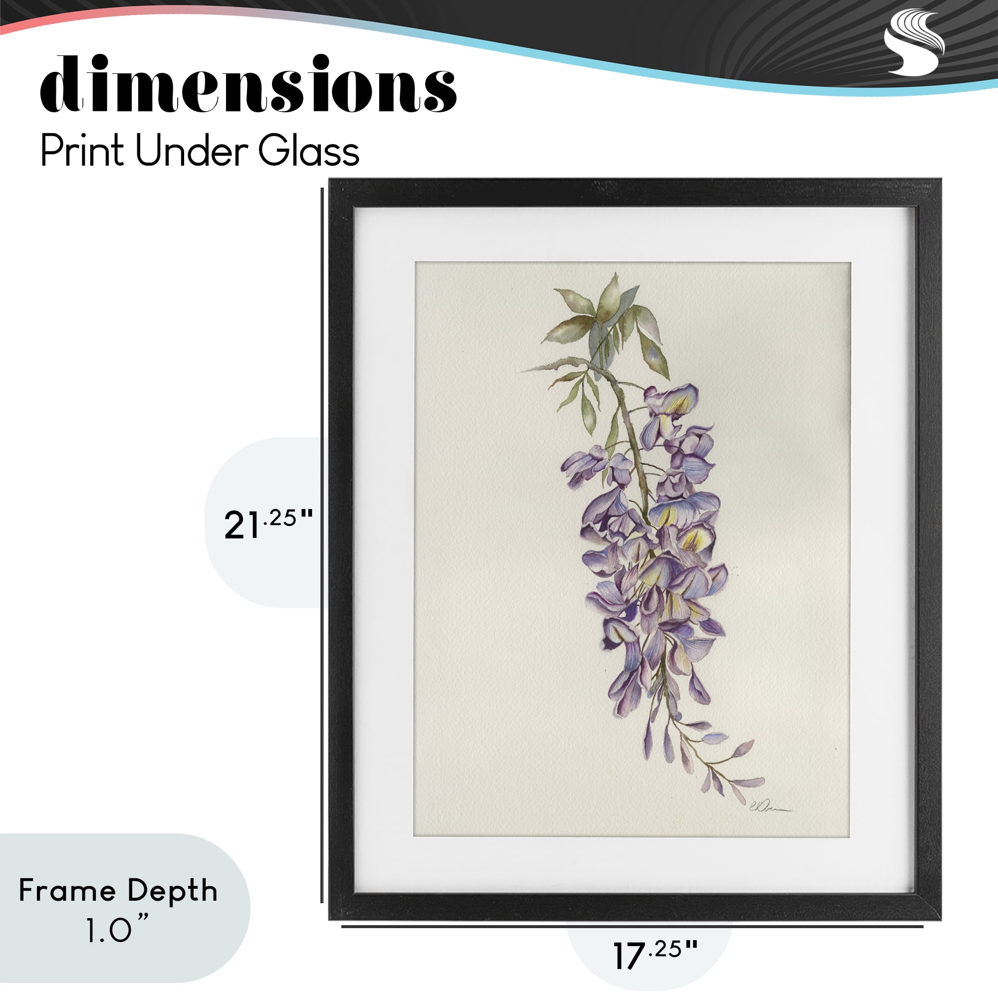 Stupell Industries Delicate Hyacinths Study Black Framed Print Under Glass, design by Cady Driver