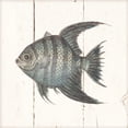 thumbnail image 3 of Wild Apple Portfolio 12x12 Black Modern Framed Museum Art Print Titled - Fish Sketches II Shiplap, 3 of 5