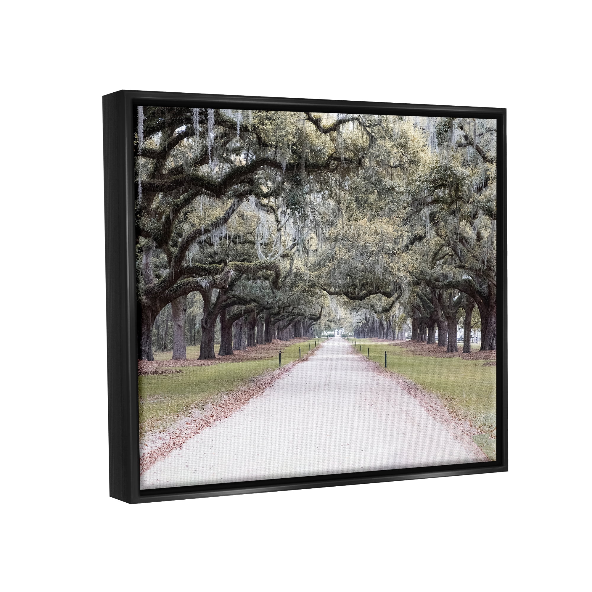 Stupell Industries Tree Grove Path Photography Landscape Photography Black Floater Framed Canvas Art Print Wall Art, 21 x 17