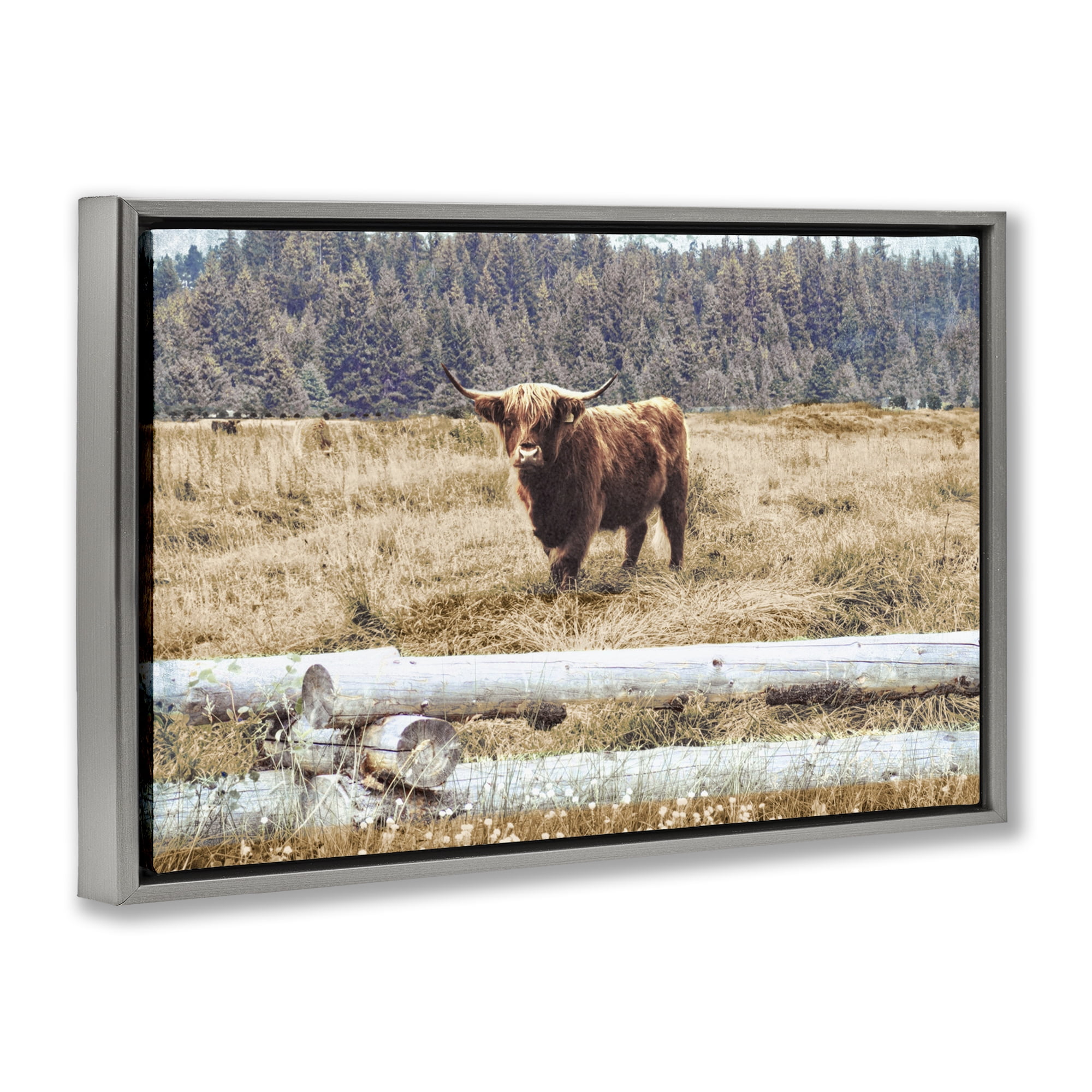 Stupell Industries Country Cattle with Fence Animals & Insects Photography Gray Floater Framed Canvas Art Print Wall Art, 25 x 17
