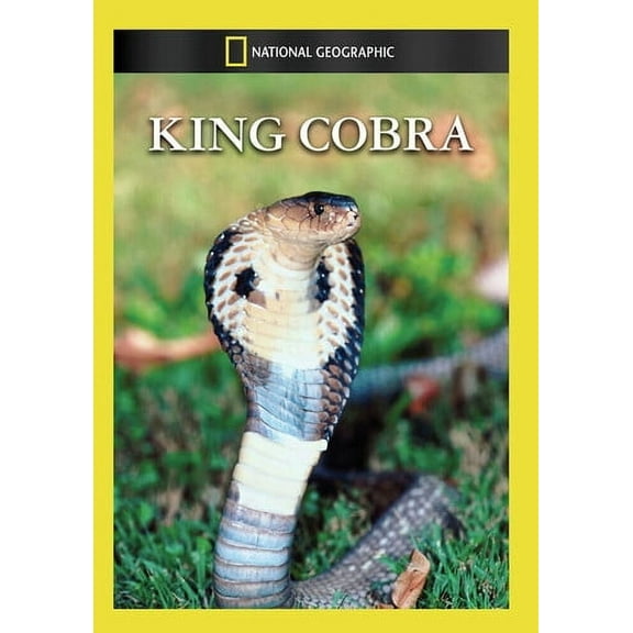 King Cobra (DVD), National Geographic, Documentary