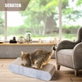 thumbnail image 3 of Cama lounge de cartón Cat Scratcher FluffyDream 2 en 1, 3 of 8