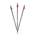 thumbnail image 3 of Carbon Express Maxima 250 32.5" Bowhunting Arrow Shafts with Fletching, 6 Pack, 3 of 4