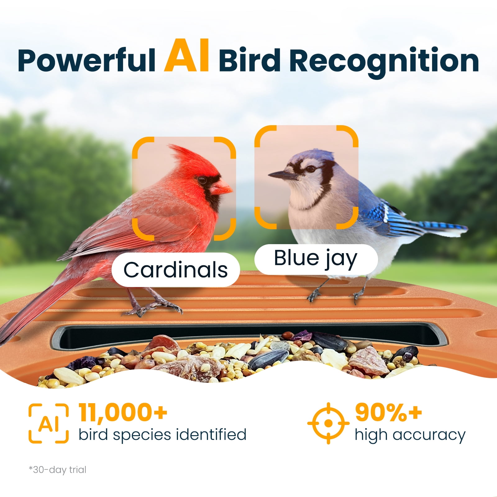 VINGUYS Bird Feeder with Camera and Smart AI Identification, Solar Powered IP66 Waterproof for Outdoor Birding, Green