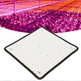 thumbnail image 5 of 1000W LED Plant Grow Light Red and Blue Spectrum Quantum Board Plant Light for Indoor Greenhouse Seedling 85?265V US Plug, 5 of 5