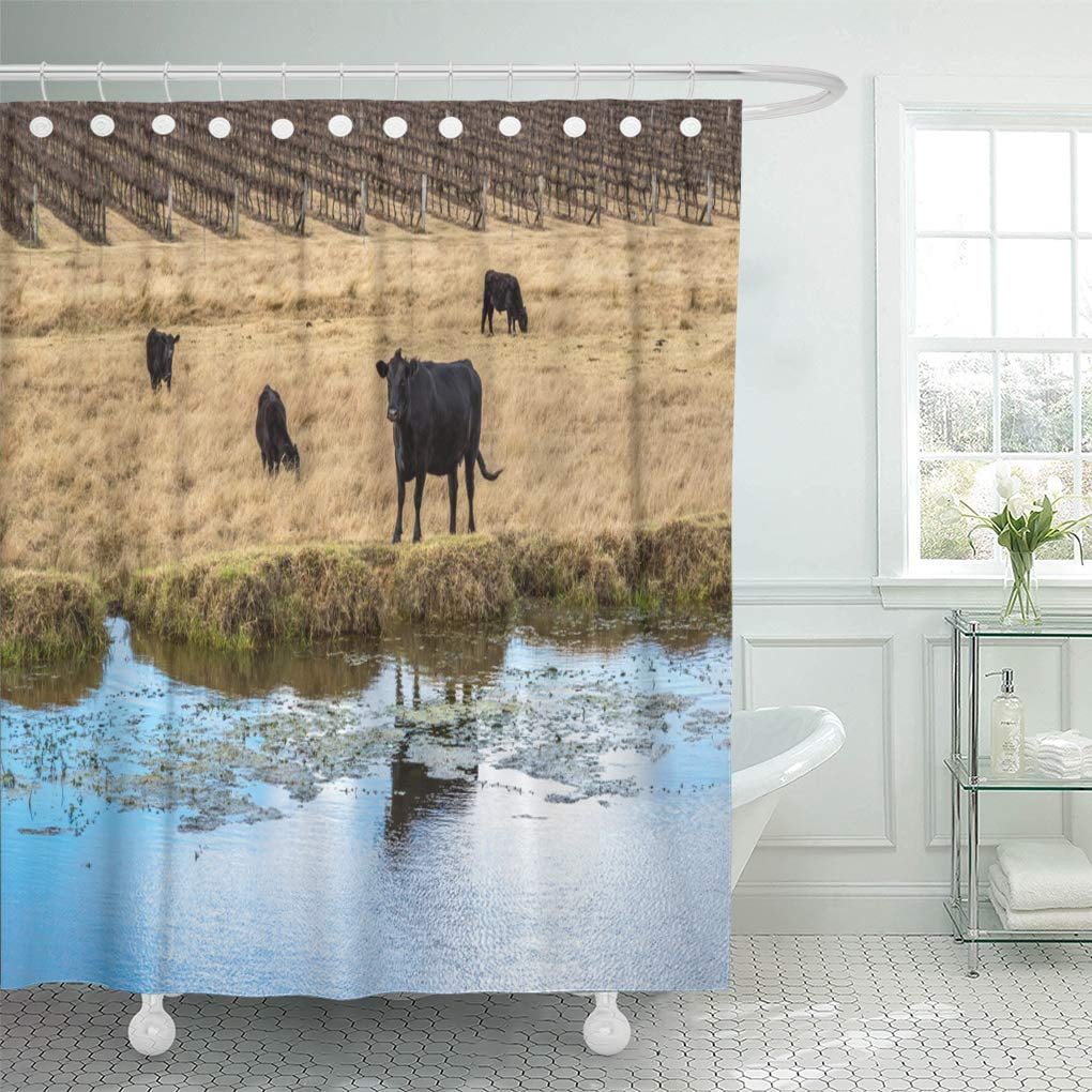 Yusdecor Green Country Cows In Paddock Surrounded By Lake Bathroom Decor Bath Shower Curtain 60x72 Inch Walmart Canada
