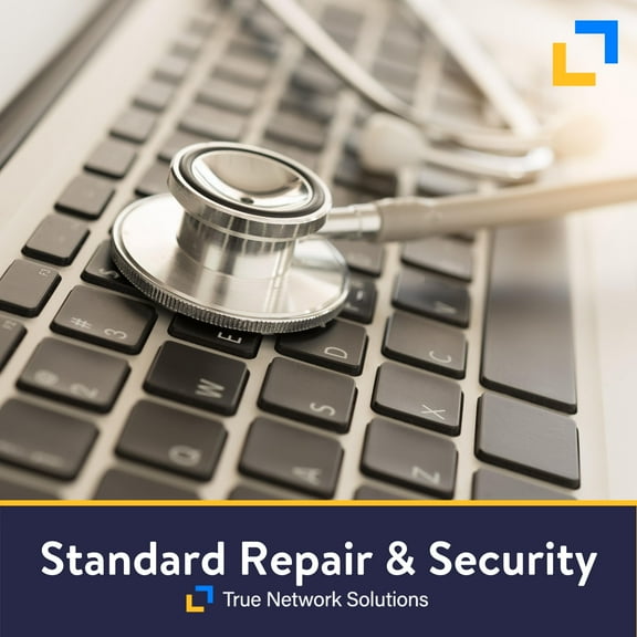 Standard Repair and Security